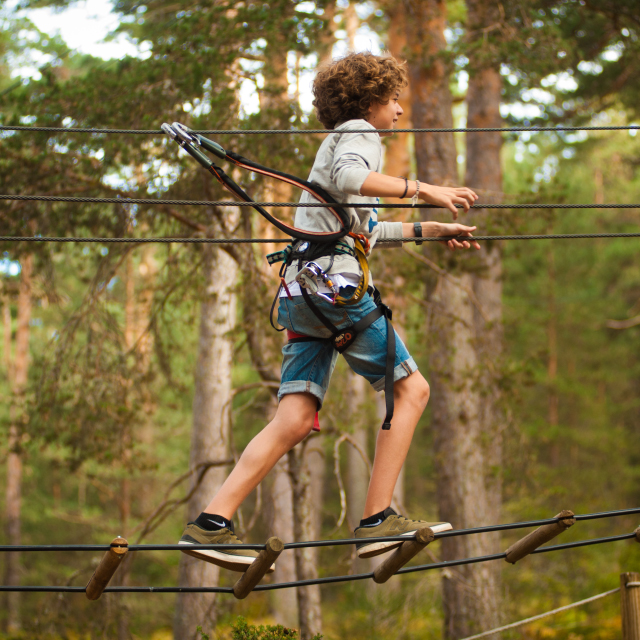 Imagen diversion-en-los-arboles