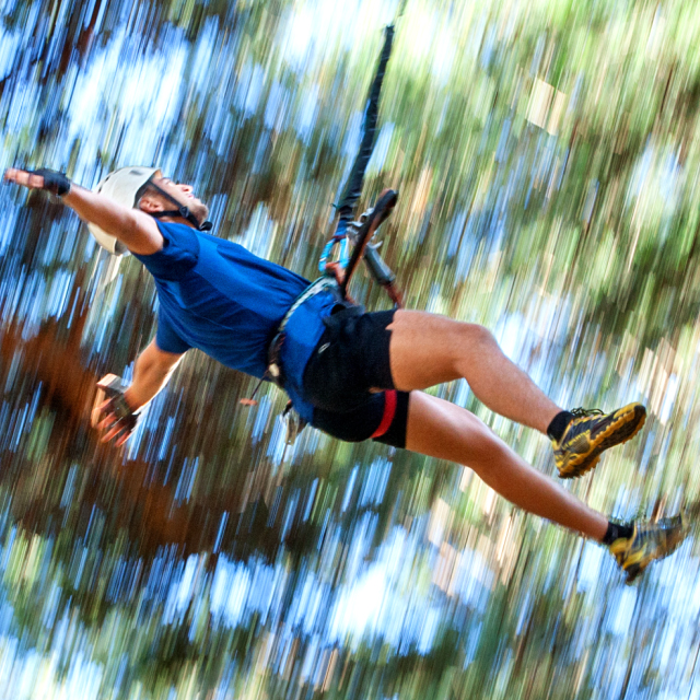 Imagen diversion-en-los-arboles