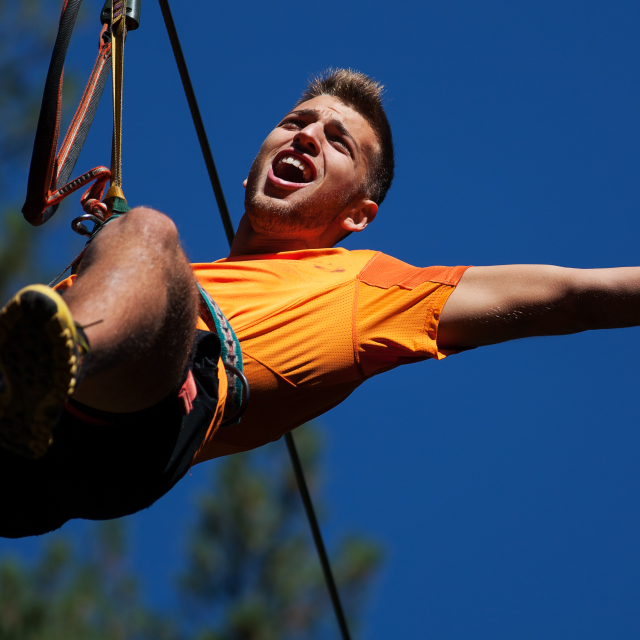 Imagen diversion-en-los-arboles