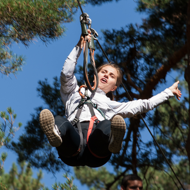 Imagen diversion-en-los-arboles
