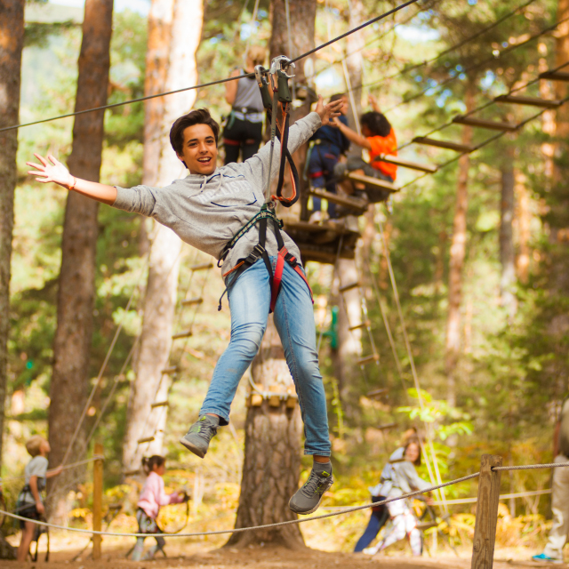 Imagen diversion-en-los-arboles